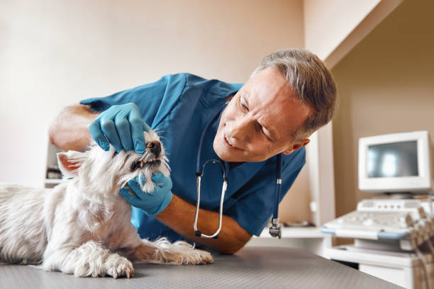 Best Walk-In Emergency Dentist in Mcallen, TX